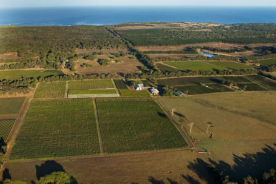 Cullen Winery, vineyards and the Indian ocean : Photo suppied by Cullen Wines.