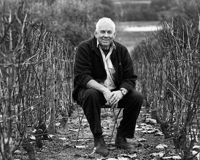 Bill Pannell : Picardy Wines