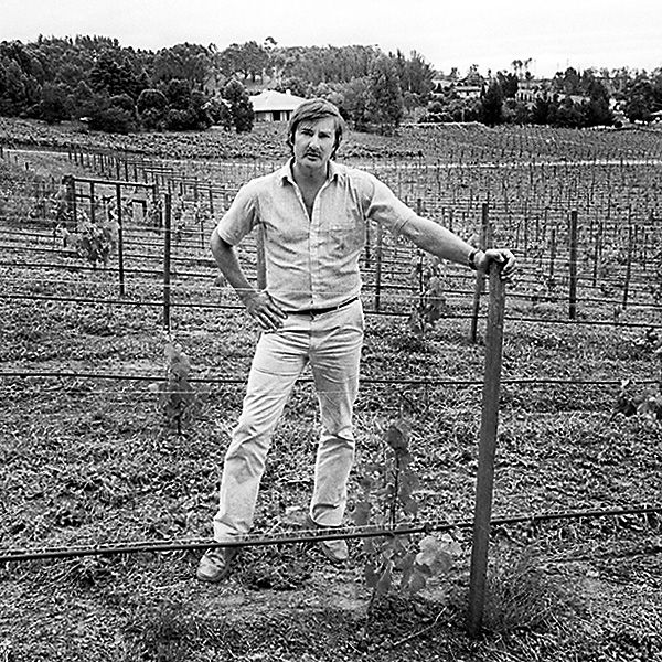 Brian Croser in the very young Tiers Vineyard 1983. Photo : Milton Wordley.
