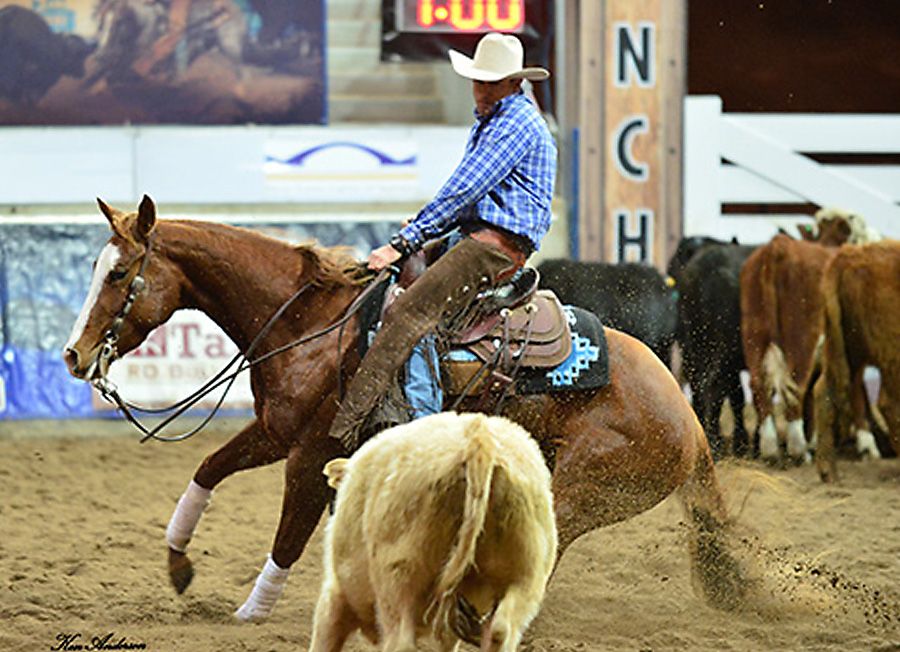 Peter competing at the 2014 National Cutting Horse Open Derby in Tamworth.