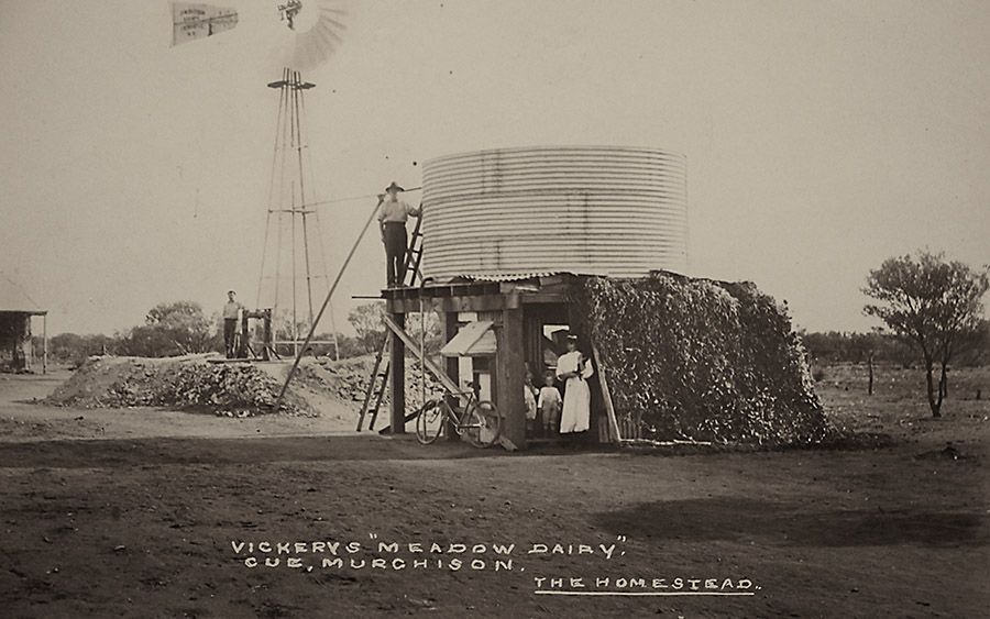 Vickery's Meadow Dairy in Murchison.