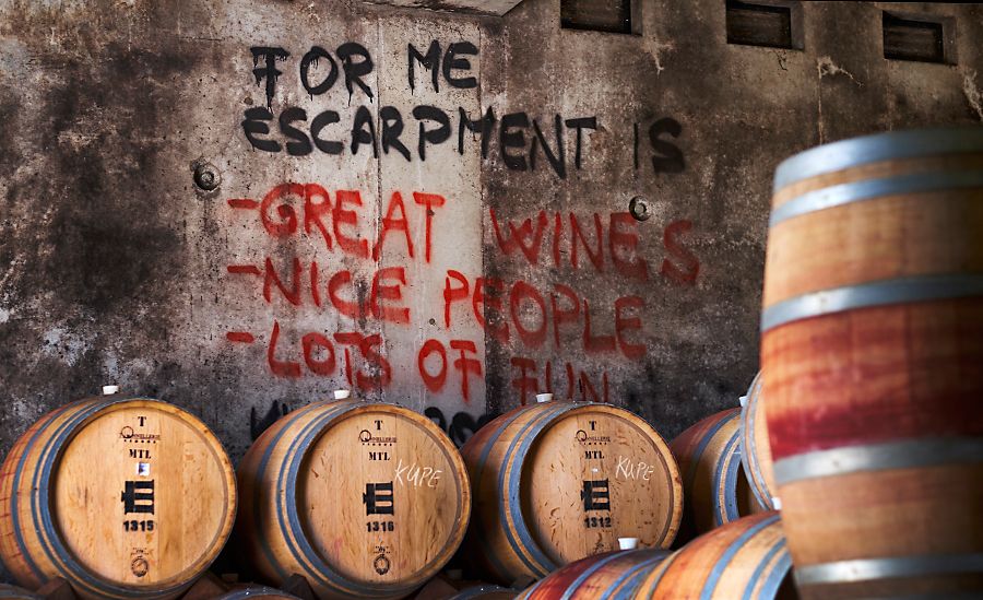 Obviously a good place to work. Cellar signage by a vintage worker : Photo © Milton Wordley.