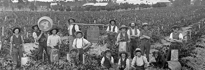 Harvest in the early days.