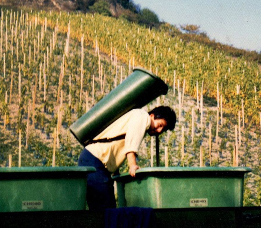 Hiro picking during the 1986 Germany Harvest.
