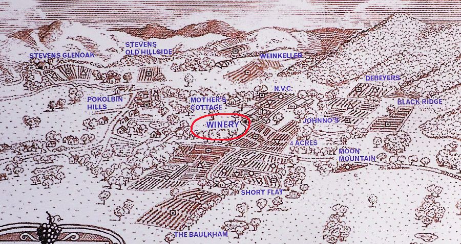 An old map showing some of the origonal vineyards around the winery.