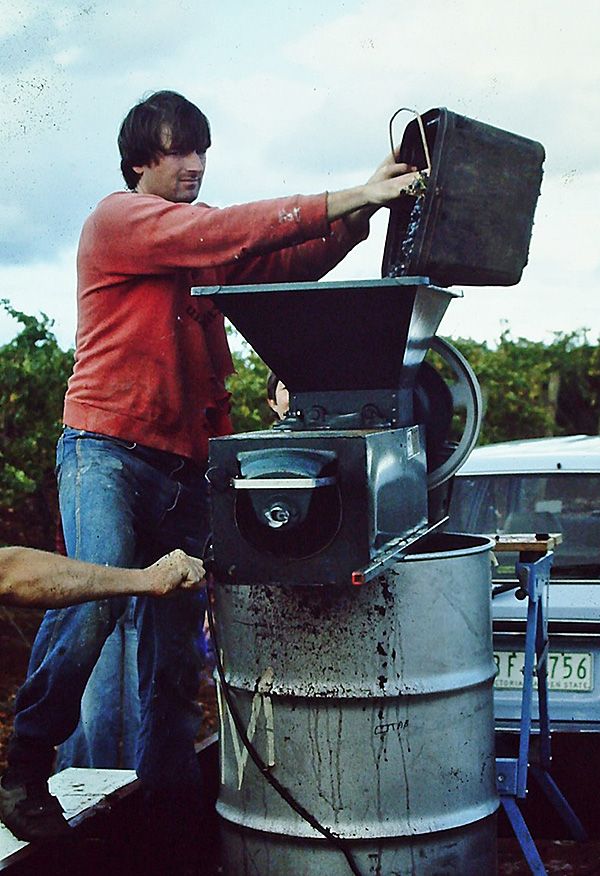 David Lloyd field crushing Coonawarra cabernet in the early 80's. Photo © Eldridge Estate.