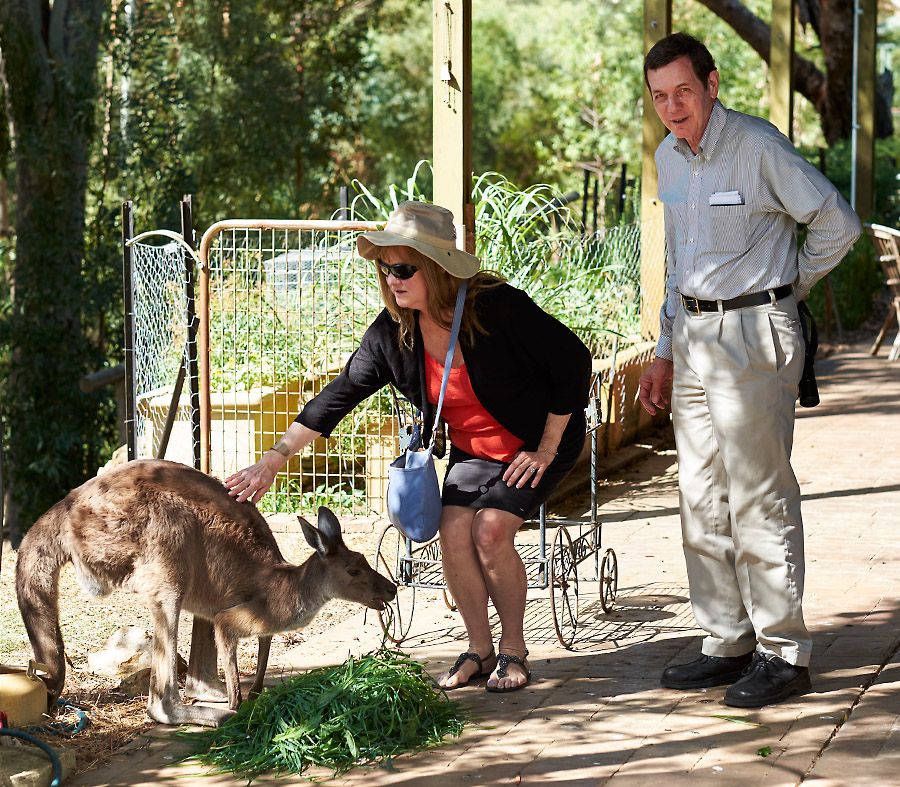 Julie and Dr Bob get to know 'Corny' at Kevin and Kaaren Palmer's sanctury in the Adelaide Hills : Photo © Milton Wordley.