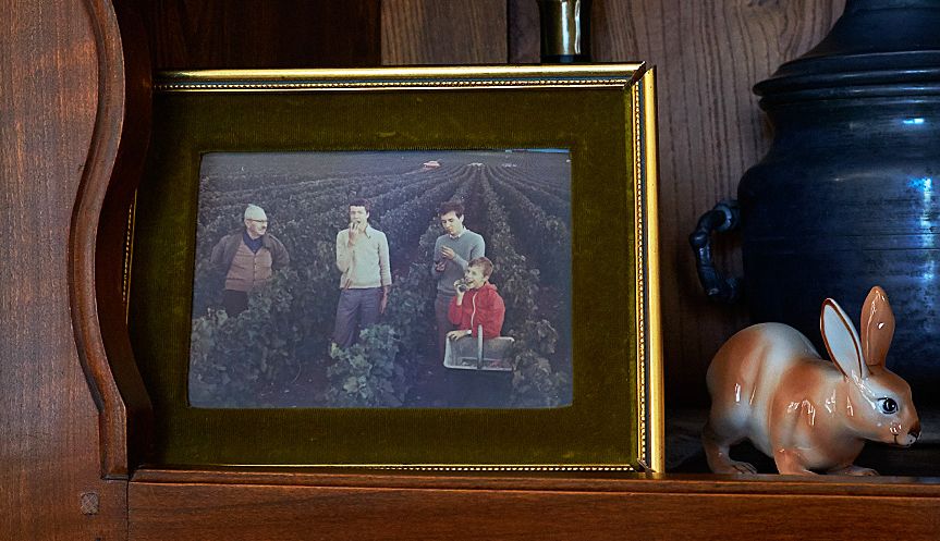 Family photo, in the office. Harvest 1976 L-R : Didier's grandfather Pierre Gimonnet at 78 years old, brothers Philippe and Olivier. Didier is the little boy in red.