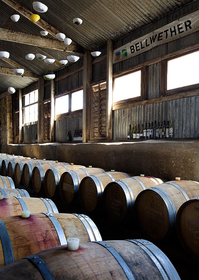 The winery  : Photo © Benedetta Rusconi.