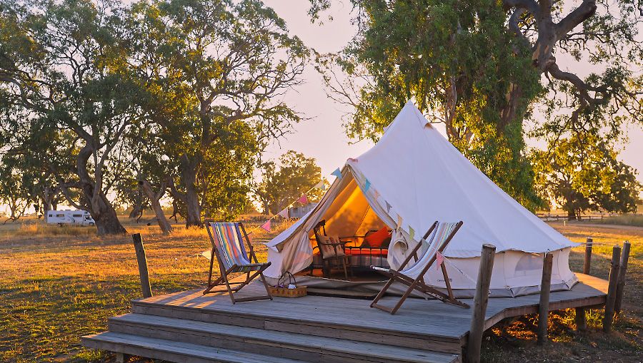 Glamping at the Bellwether camping ground : Photo © Milton Wordley.
