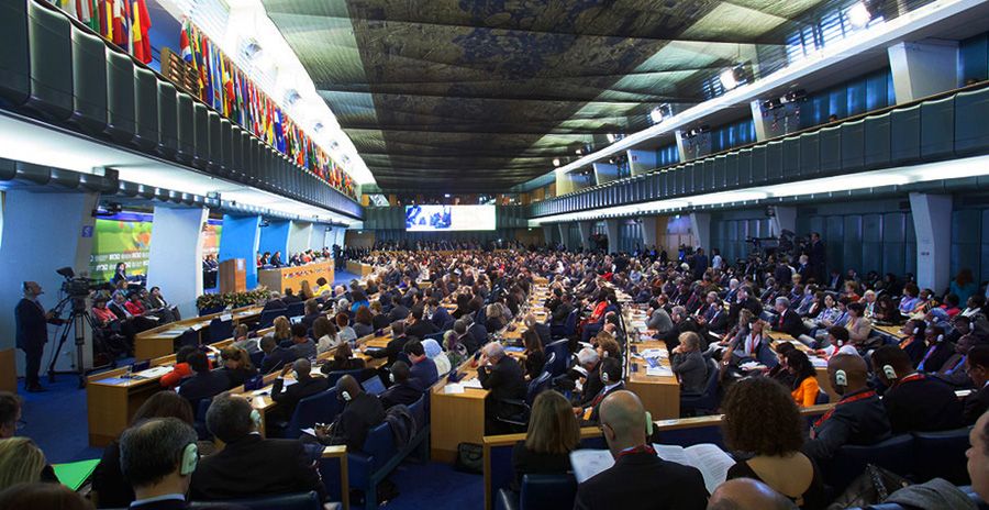 Opening of the second International conference on Nutrition in 2014 at UN headquarters in Rome in 2014. 