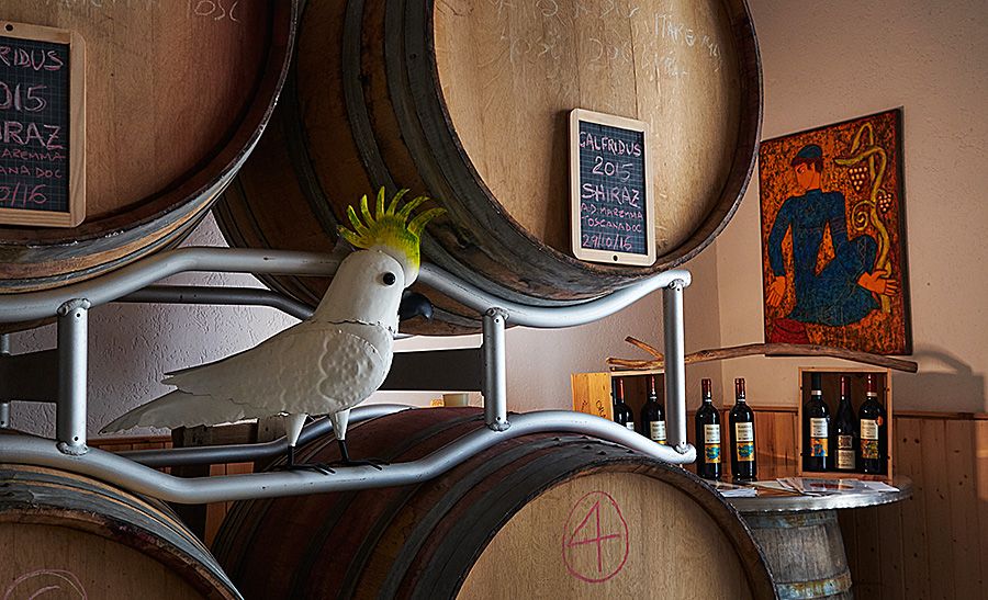 A touch of Australia in the winery, a Sulphur-crested Cockatoo : Photo © Milton Wordley.