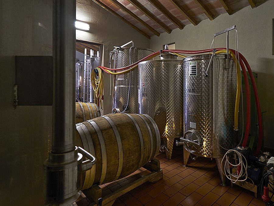 Alison uses a small amount of wood at her winery Italian Querciasola : Photo © Milton Wordley.