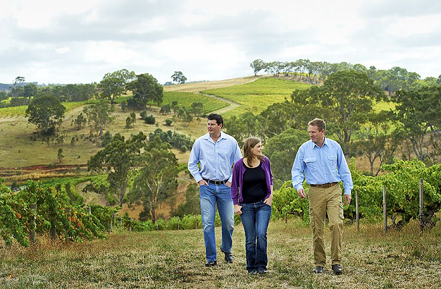 Peter Fraser with the former Jackson Family President  Hugh  Reimers and Katie Jackson in the Claredon Hills vineyards : Photo © MIlton Wordley 