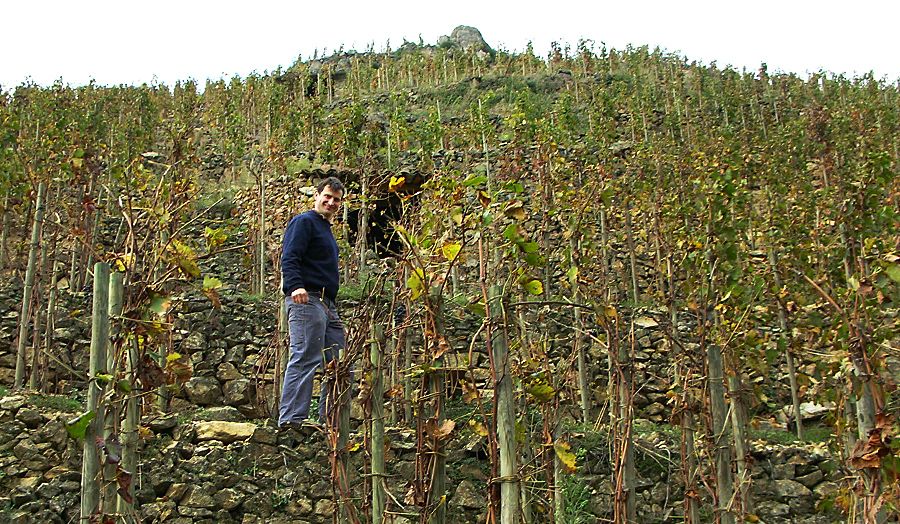 Jean-Louis Chave, current family custodian of Domaine Jean Louis Chave,  in the Lemps vineyard in its early rebuilding stage in St Joseph.