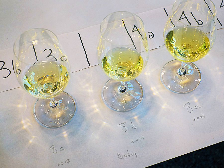 An entry in the Adelaide Wine Show  Provinance class: three vintages of Riesling, the longer you keep it the more golden it gets  : Photo © Milton Wordley.