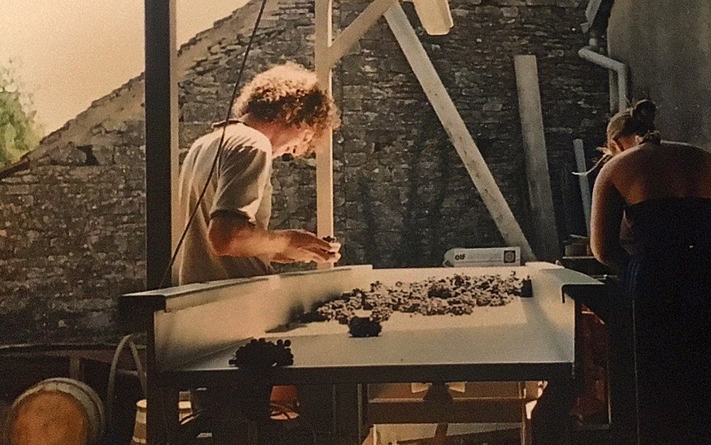 Bill hand-sorting grapes for the De 'Bortoli Gevrey Chambertin' in 2003.