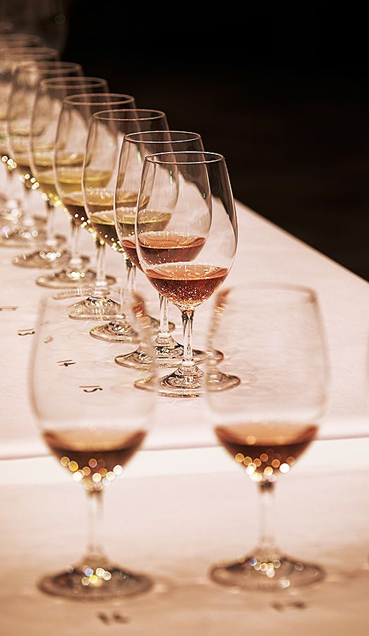 Judging the top ten in the 'Hot 100 Wines' : Photo © Milton Wordley.