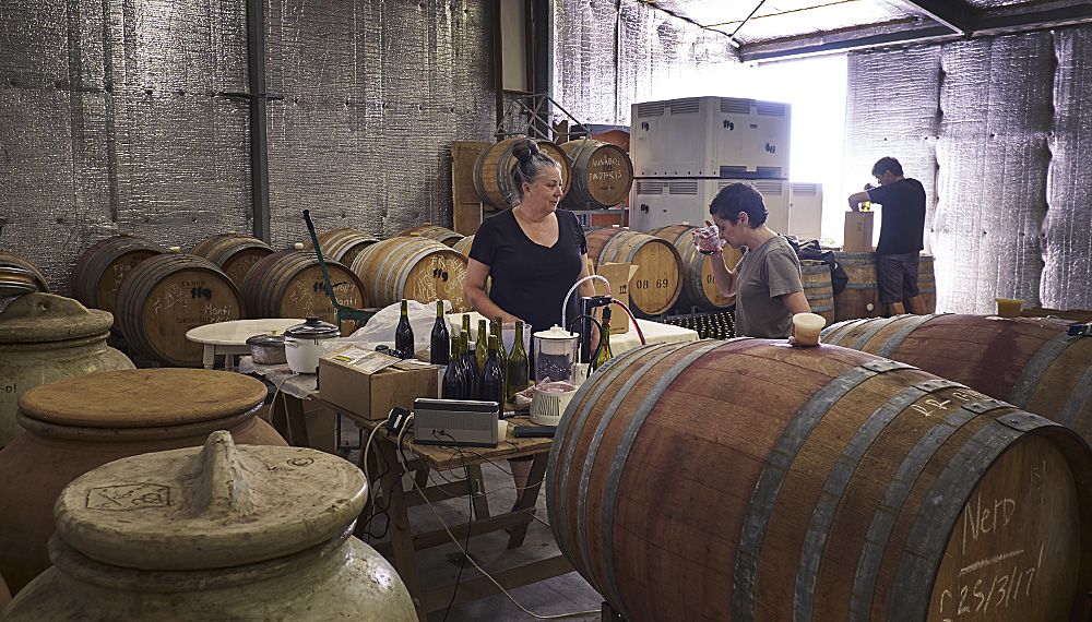 Gill Gordon Smith in her wine shed bottling the 2017 ‘Nero’ with the help of Fino’s Sharon Romeo  : Photo © Milton Wordley