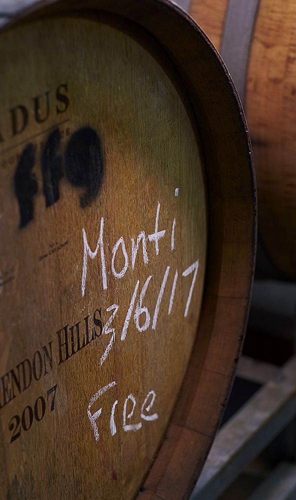 'Fall from Grace' Montepulciano barrel ageing : Photo © Milton Wordley