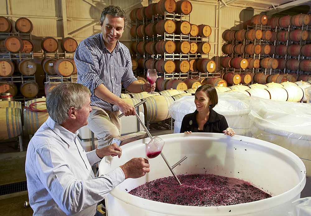 Brian, Xavier and Lucy in the winery : Photo © Milton Wordley.