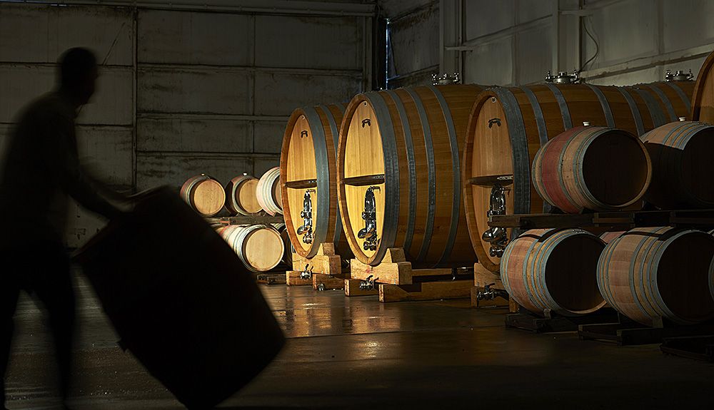 The Tapannappa and Terre à Terre winery, large oak foudres and demi muids etc etc : Photo © Milton Wordley.