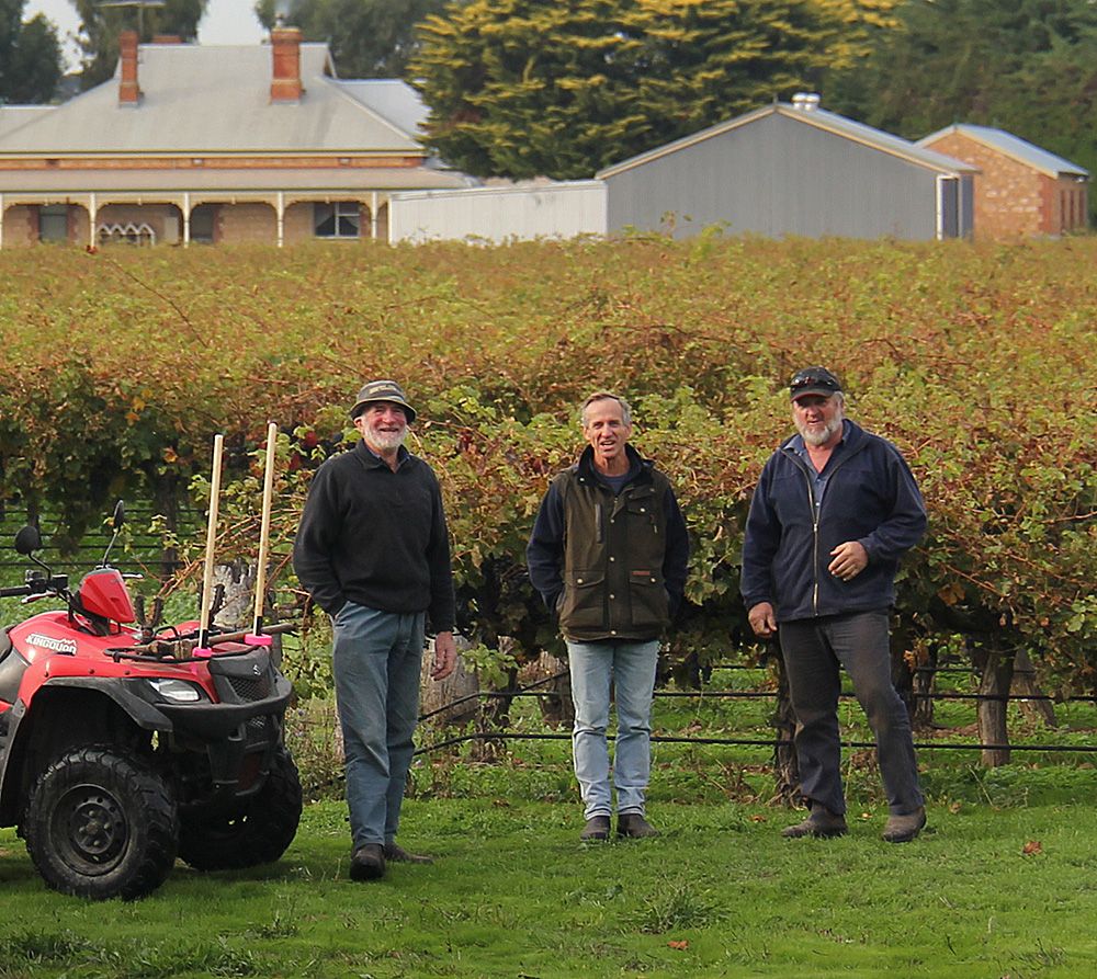 Drew with the Borrett Boys in the headland of the Fruit Trees Cabernet Block, Langhorne Creek : Photo courtesy Noon Winery.
