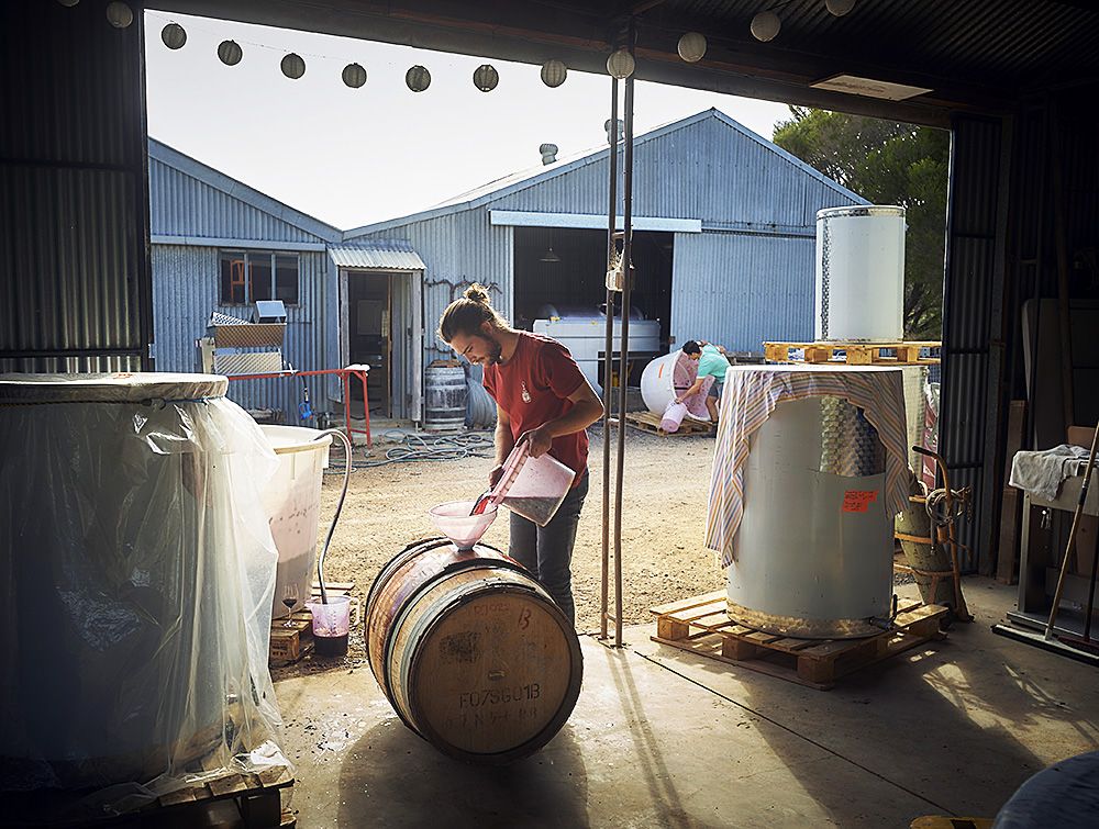 Louis and Sholto at work during the 2018 vintage at their 'Basket Range Wine' sheds : Photo © Milton Wordley.