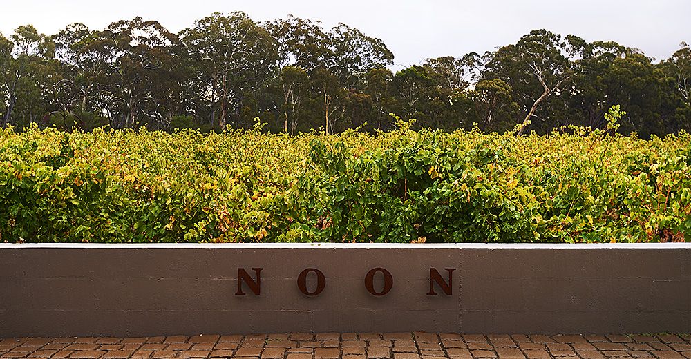 The Winery Block planted in 1934  : Photo © Milton Wordley.