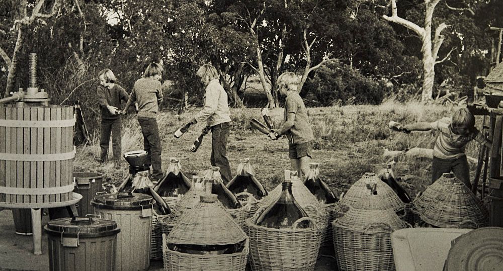 Drew and a few mates, students from Morphett Vale school helping out in the early 1970's : Photo courtesy Noon Winery.