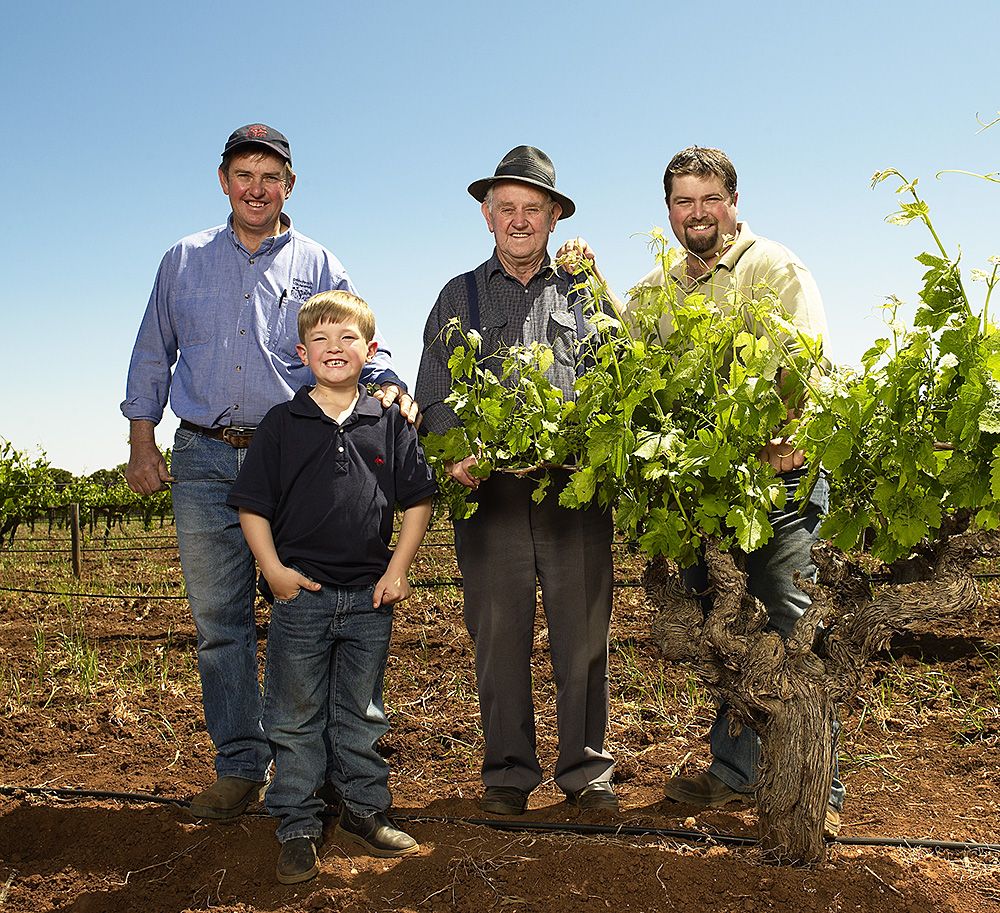 The Hoffmans in 2007. A four generation Barossa family of growers in the Hoffman shiraz block, L-R Gordon , Jeff , Adrian with Adrian's son Byron : Milton © Wordley.