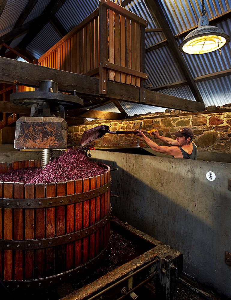 The baskett press at Rockford wines : Milton © Wordley.