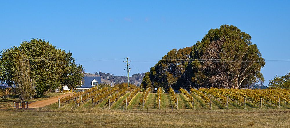 The Martin home amongst the Ravensworth vineyards high up in Murrumbateman in the NSW southern tablelands : Photo © Milton Wordley.