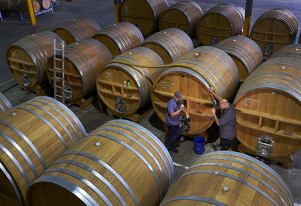 Stephen and Chris Taylor the SCP assistant winemaker, barrel sampling the large  vats of  2018 vintage : Photo © Milton Wordley.