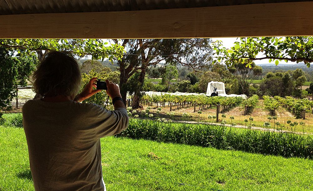 Philip photographs the Ironheart shiraz vineyard for his web site Drinkster from his veranda : Photo © Milton Wordley