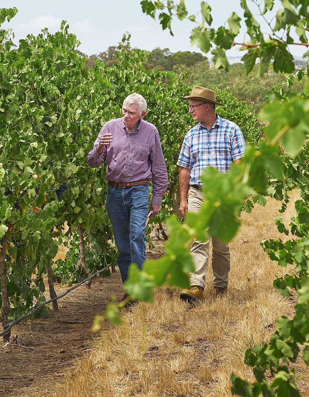 Dr Richard walks the BVE Marananga vineyard with Rob Martyn Delgat's Group Operations Manager Viticulture & Winemaking : Photo © Milton Wordley 