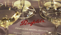 OLD DUFFERS :  Penfolds White Wine Master Class.